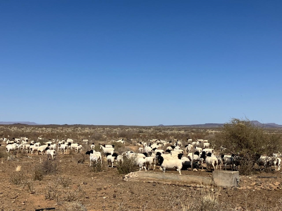 4 Bedroom Property for Sale in Vanwyksvlei Northern Cape